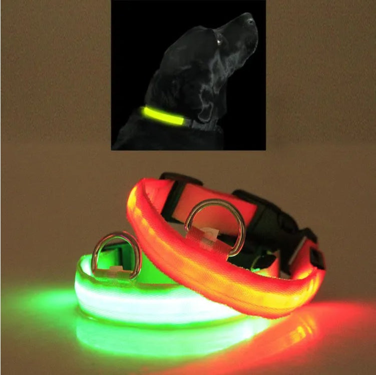 LED Safety Halo Pet Collar for Night Visibility