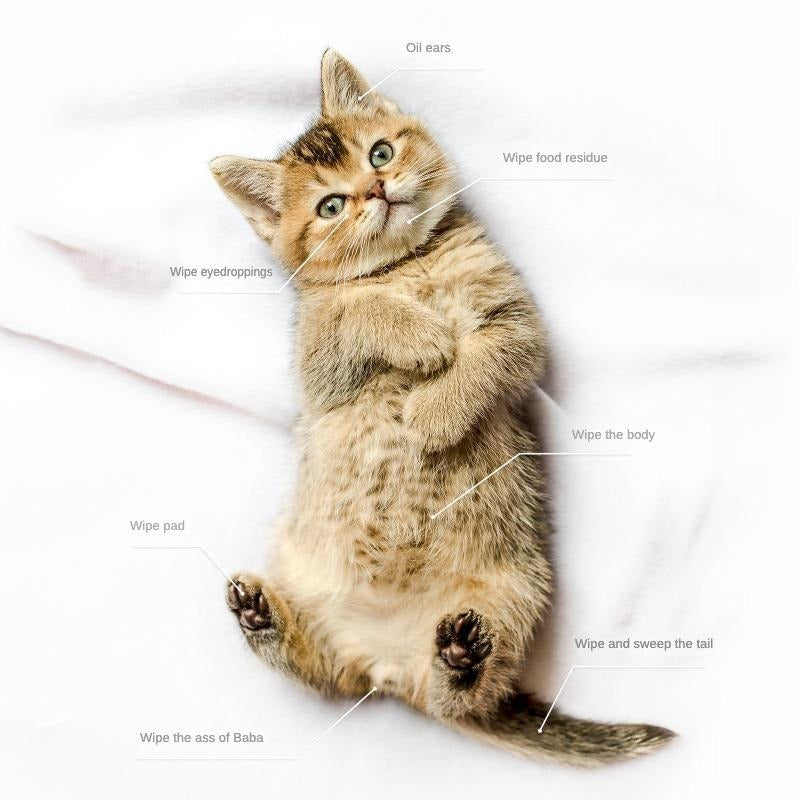 Pet Cleaning Gloves Wipes for Cats and Dogs 6 Pack