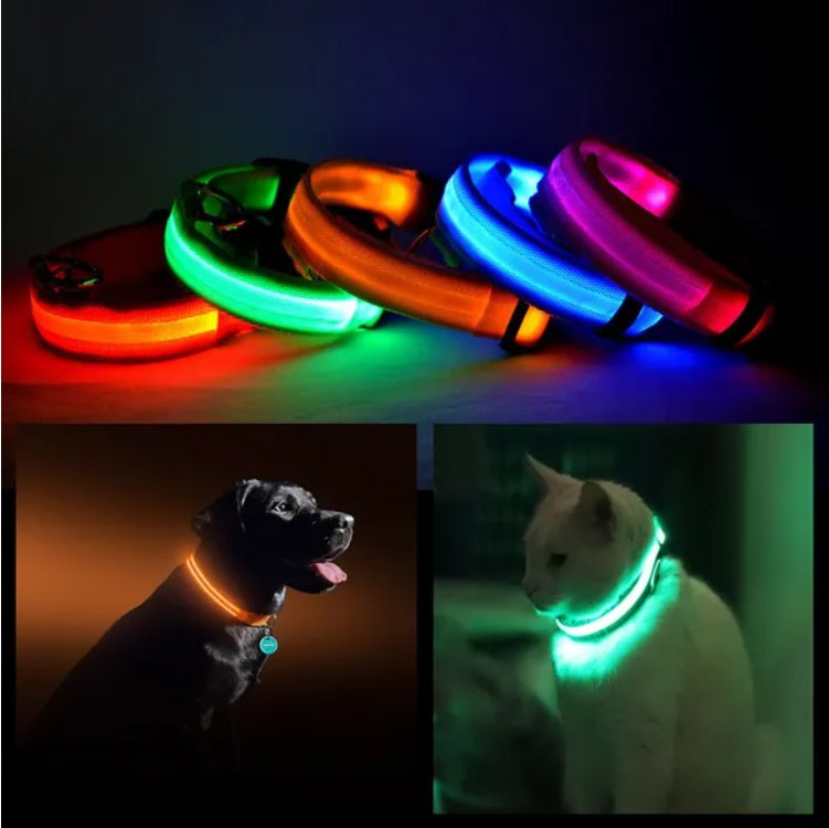 LED Safety Halo Pet Collar for Night Visibility