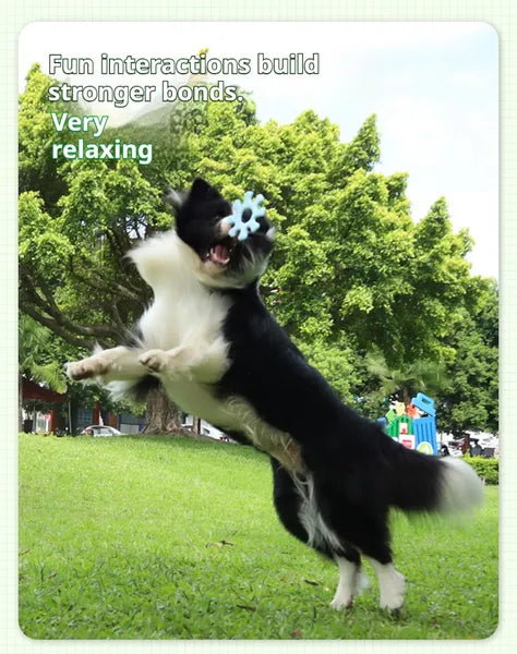 Interactive Silicone Dog Flywheel Frisbee Toy for Fetch and Chewing