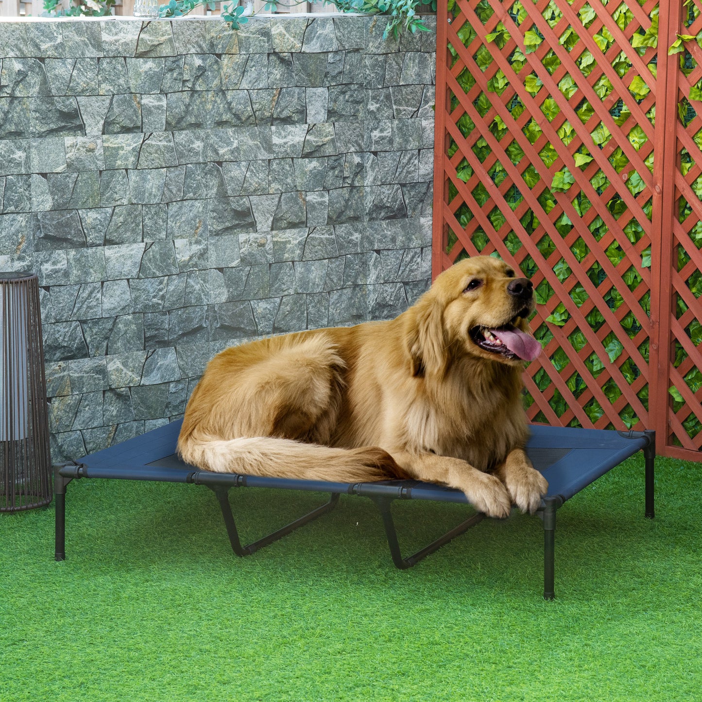48 x 36 Elevated Breathable Dog Bed with Carry Bag for Large Dogs