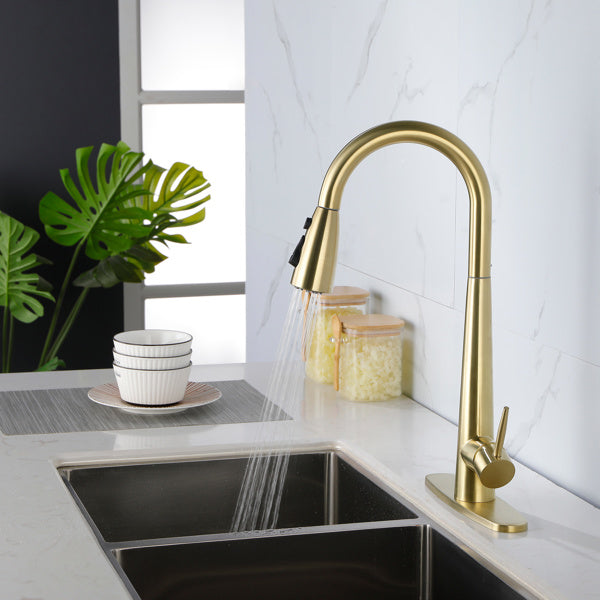 Kitchen Faucet With Pull Down Spray