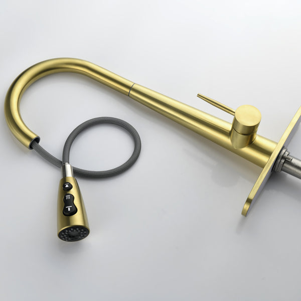 Kitchen Faucet With Pull Down Spray