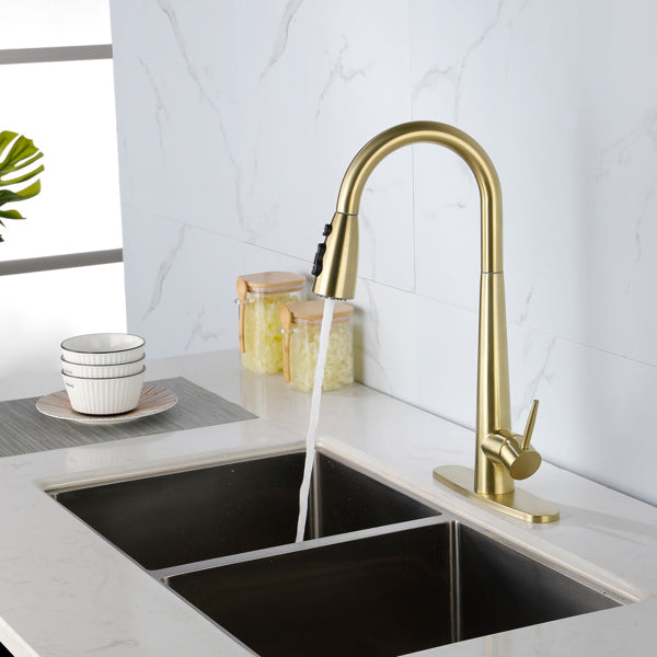Kitchen Faucet With Pull Down Spray