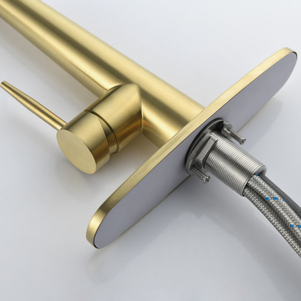 Kitchen Faucet With Pull Down Spray