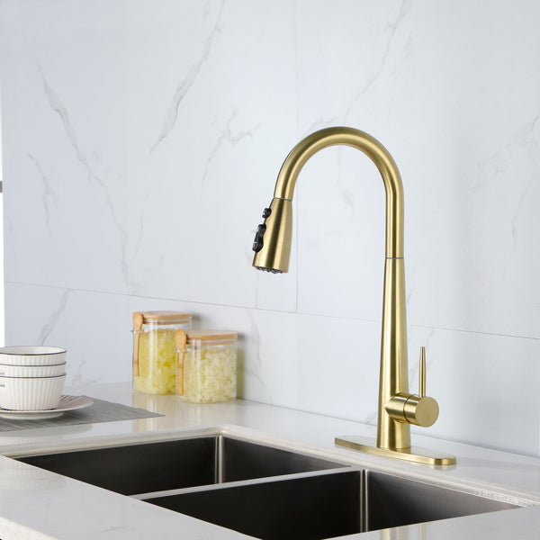 Kitchen Faucet With Pull Down Spray