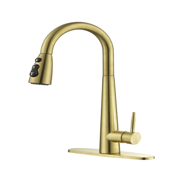Kitchen Faucet With Pull Down Spray