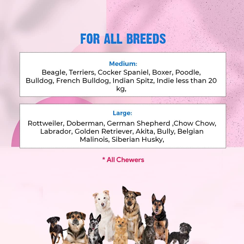 Natural Rubber Squeaky Dental Chew Toy for Dogs