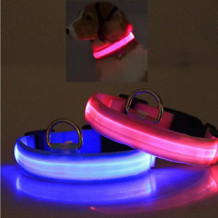 LED Safety Halo Pet Collar for Night Visibility