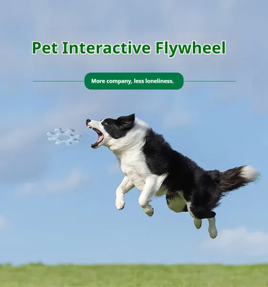 Interactive Silicone Dog Flywheel Frisbee Toy for Fetch and Chewing