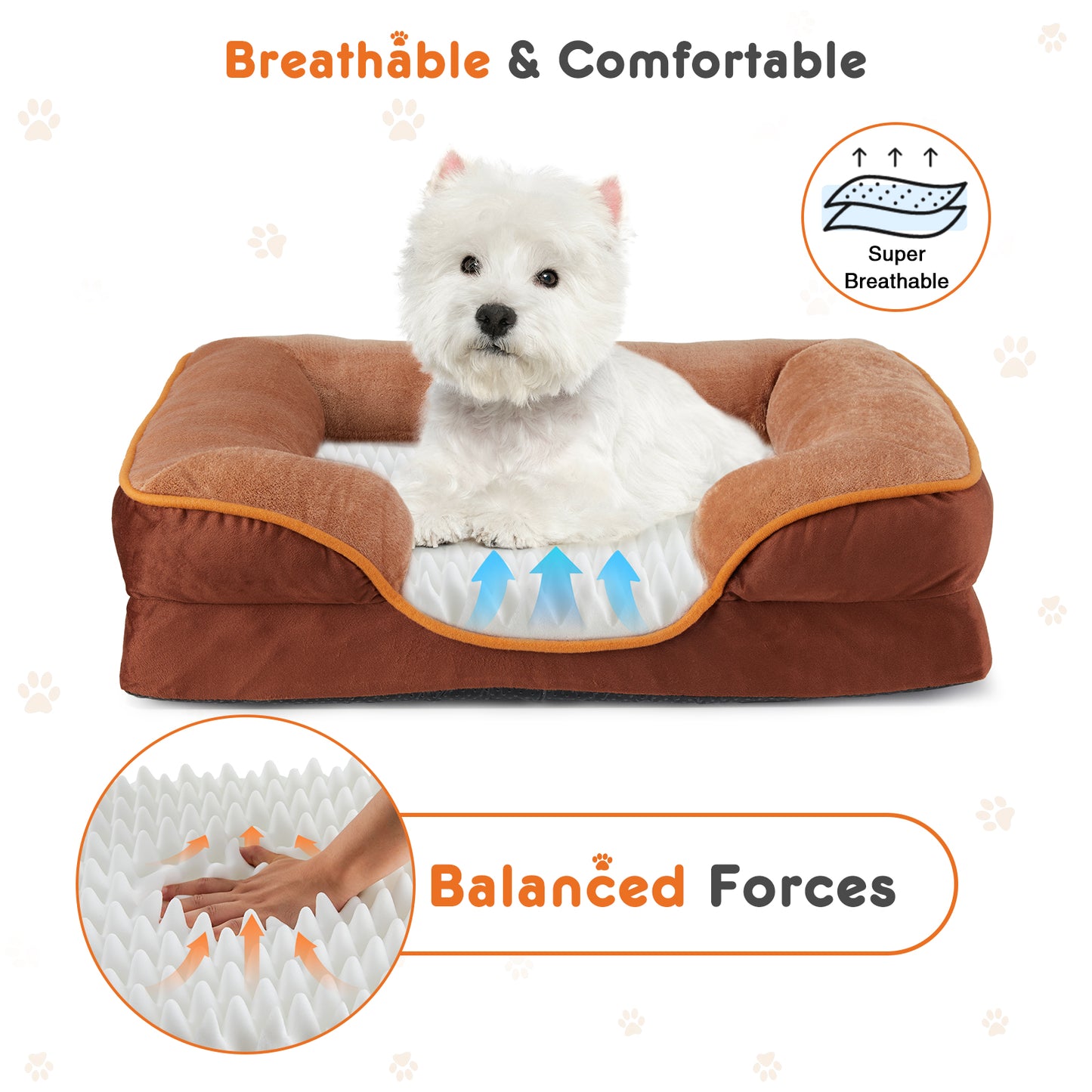 Orthopedic Memory Foam Dog Bed with Washable Cover and Non Slip Base