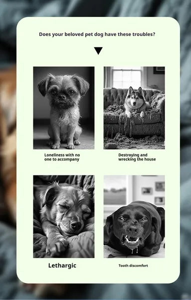 Interactive Sound Ball with Built-In Whistle for Dogs and Cats