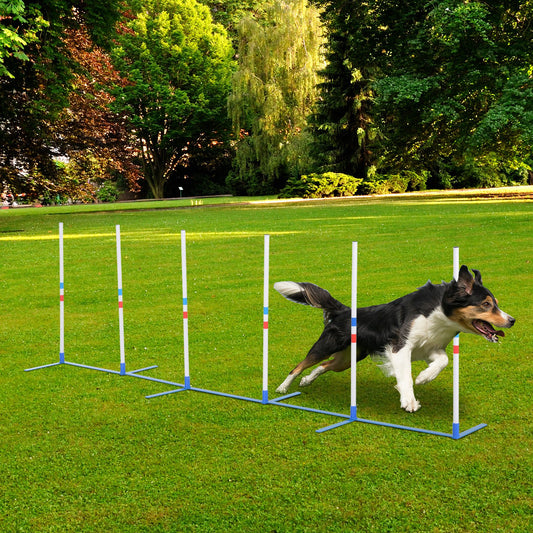 Dog Agility Weave Pole Training Set with Carrying Bag