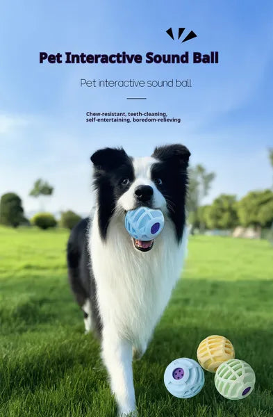 Interactive Sound Ball with Built-In Whistle for Dogs and Cats